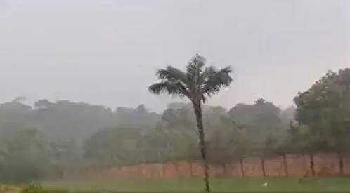 Defesa Civil emite alerta de chuvas intensas e ventania no Amazonas